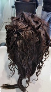 frizz curl (1)